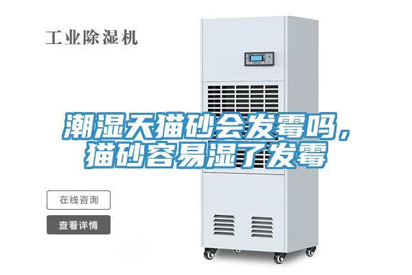 潮濕天貓砂會發霉嗎,貓砂容易濕了發霉
