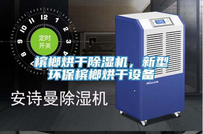 檳榔烘干除濕機，新型環保檳榔烘干設備