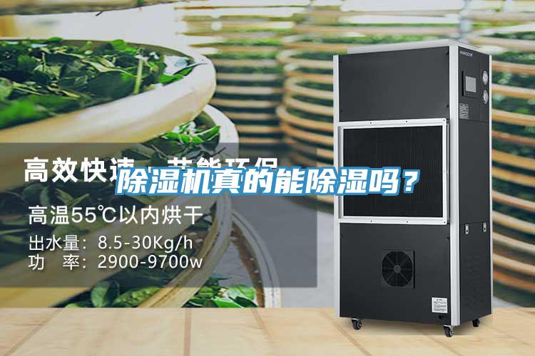 除濕機(jī)真的能除濕嗎?