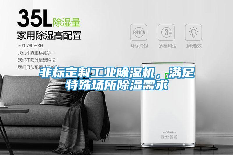 非標定制工業除濕機,滿足特殊場所除濕需求