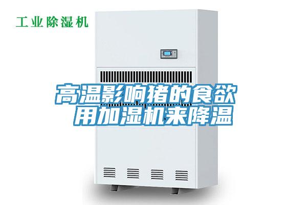 高溫影響豬的食欲 用加濕機來降溫