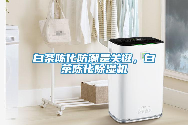 白茶陳化防潮是關(guān)鍵，白茶陳化除濕機(jī)