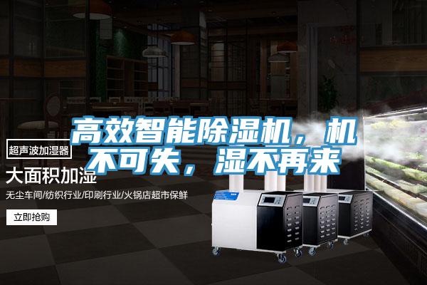 高效智能除濕機,機不可失,濕不再來