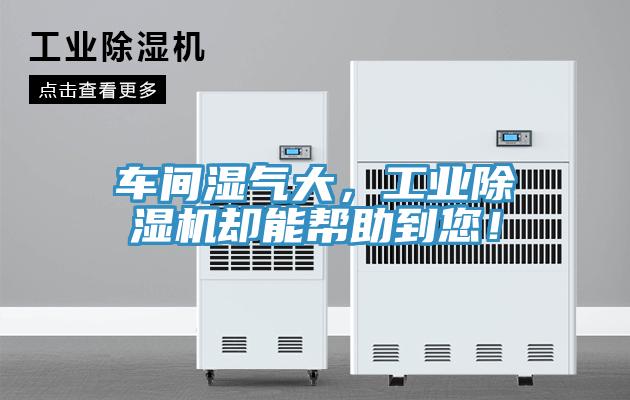 車間濕氣大,工業除濕機卻能幫助到您!