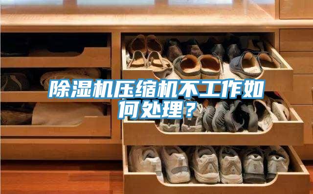 除濕機(jī)壓縮機(jī)不工作如何處理？