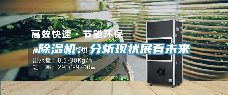 除濕機:分析現狀展看未來