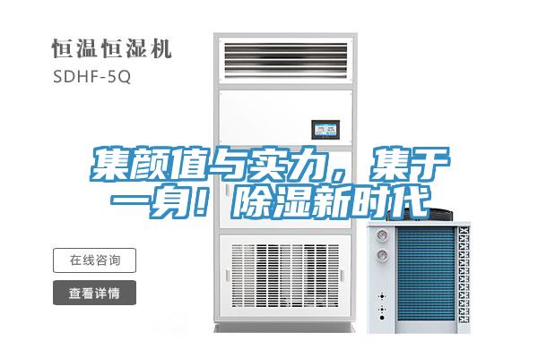 集顏值與實力,集于一身!除濕新時代