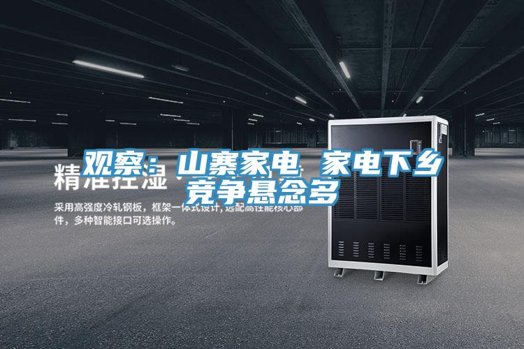 觀察：山寨家電 家電下鄉競爭懸念多