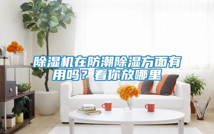 除濕機在防潮除濕方面有用嗎?看你放哪里
