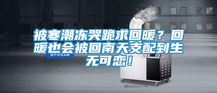 被寒潮凍哭跪求回暖？回暖也會被回南天支配到生無可戀！