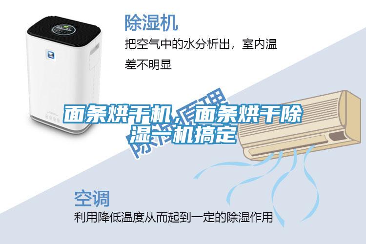 面條烘干機，面條烘干除濕一機搞定