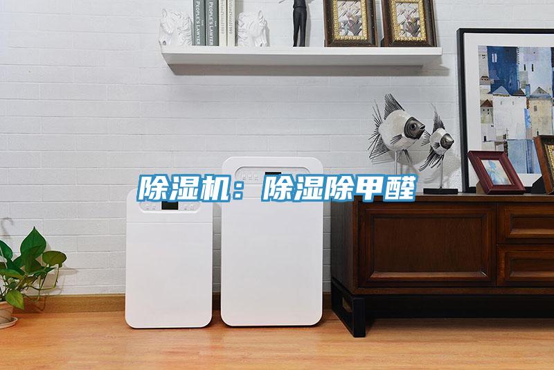 除濕機:除濕除甲醛