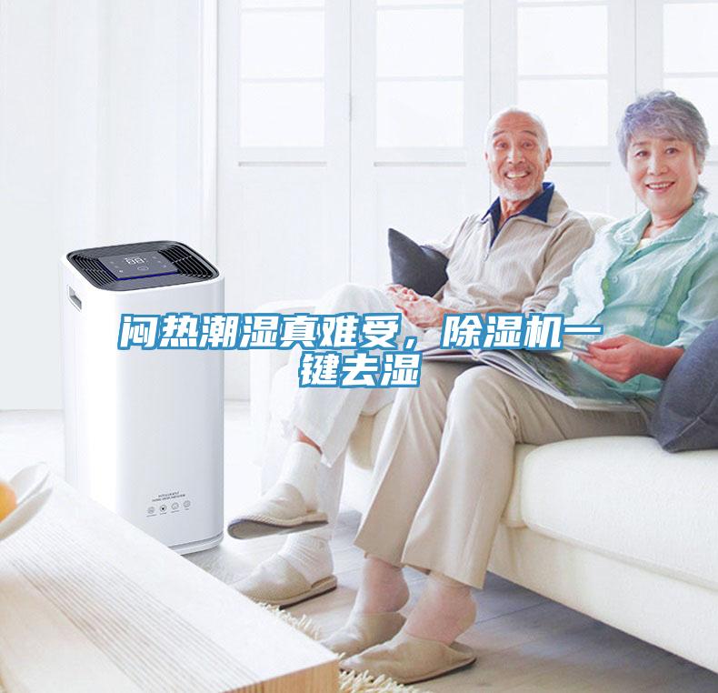 悶熱潮濕真難受，除濕機一鍵去濕