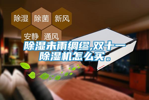 除濕未雨綢繆,雙十一除濕機(jī)怎么買。