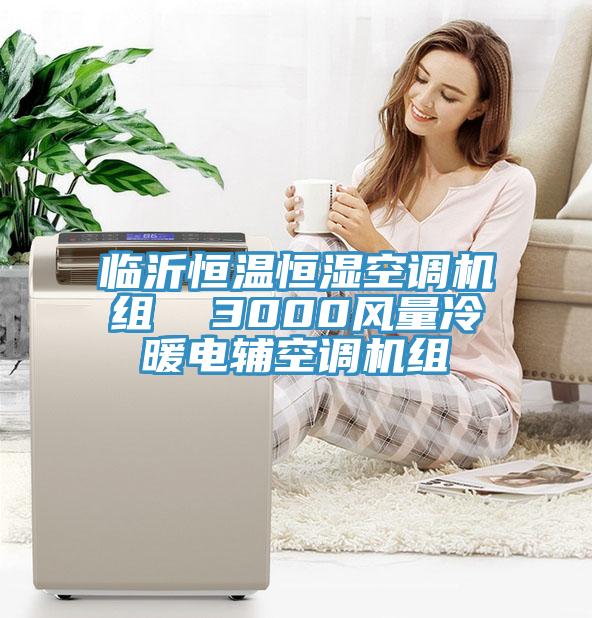 臨沂恒溫恒濕空調(diào)機組  3000風量冷暖電輔空調(diào)機組