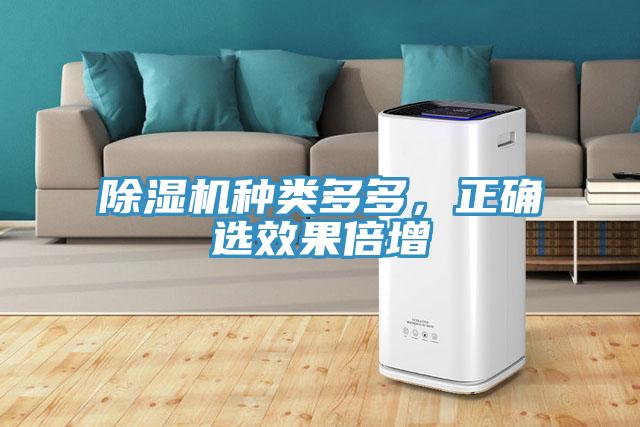 除濕機種類多多，正確選效果倍增