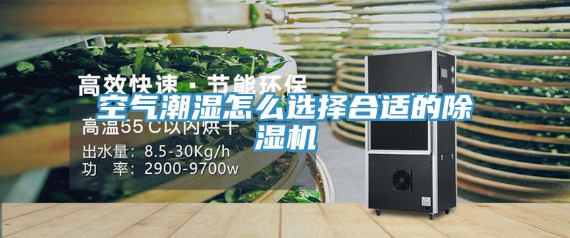 空氣潮濕怎么選擇合適的除濕機