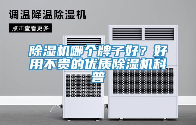 除濕機哪個牌子好？好用不貴的優質除濕機科普