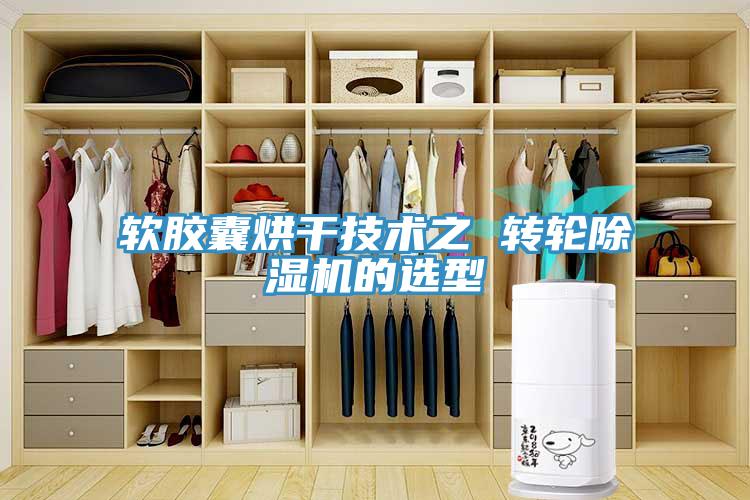 軟膠囊烘干技術之 轉輪除濕機的選型