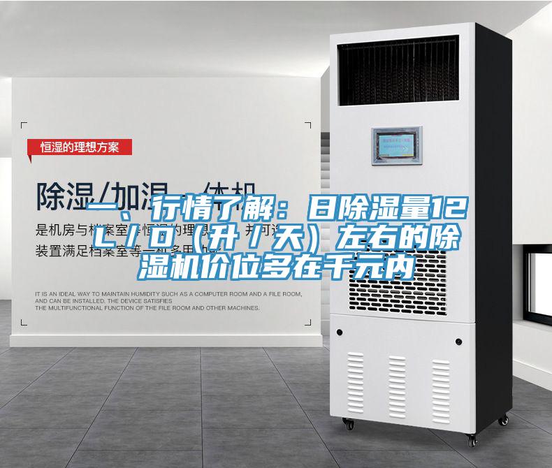 一、行情了解:日除濕量12L/D(升/天)左右的除濕機價位多在千元內