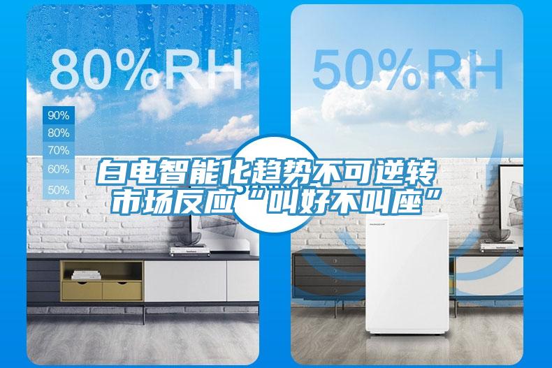 白電智能化趨勢不可逆轉 市場反應“叫好不叫座”