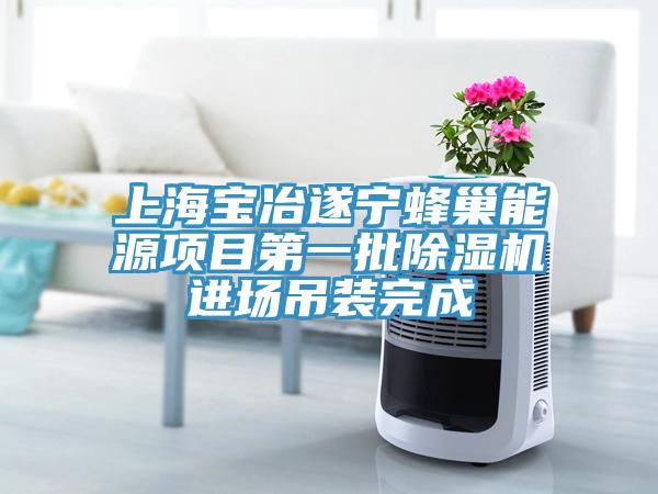 上海寶冶遂寧蜂巢能源項(xiàng)目第一批除濕機(jī)進(jìn)場吊裝完成