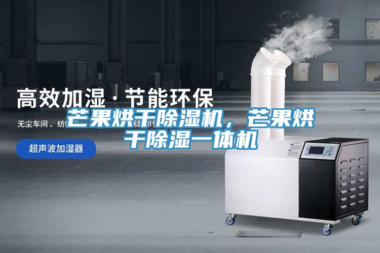 芒果烘干除濕機，芒果烘干除濕一體機