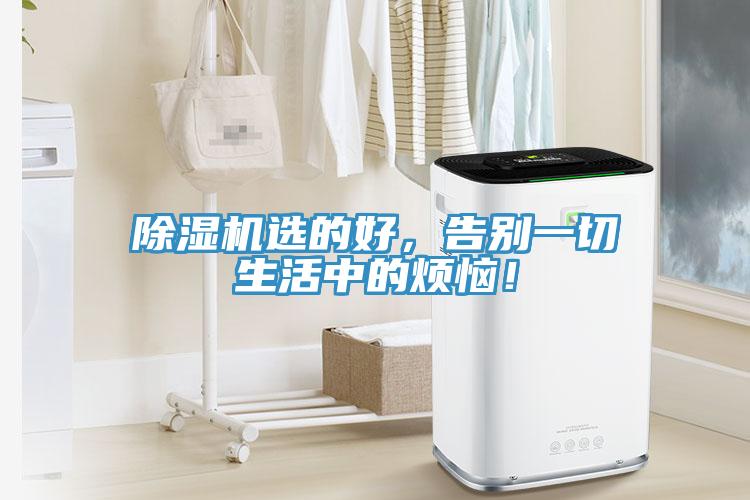 除濕機選的好，告別一切生活中的煩惱！