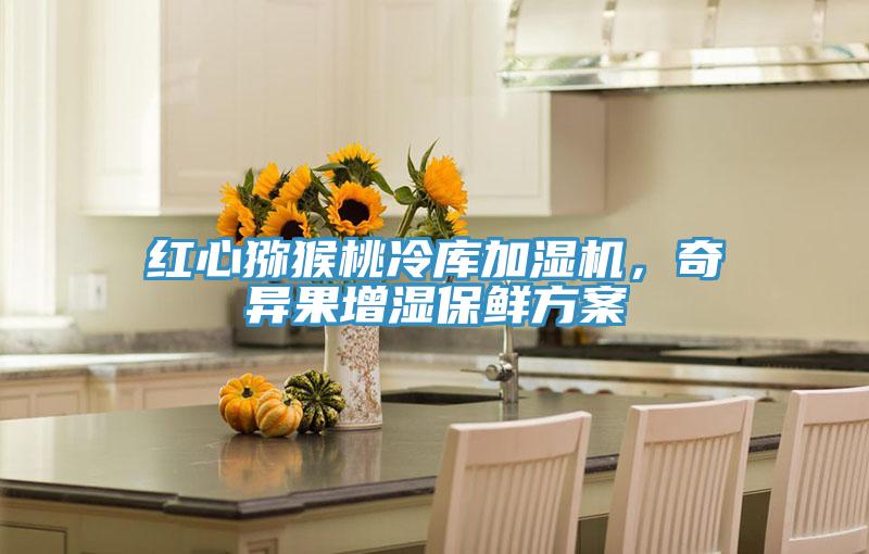 紅心獼猴桃冷庫加濕機,奇異果增濕保鮮方案