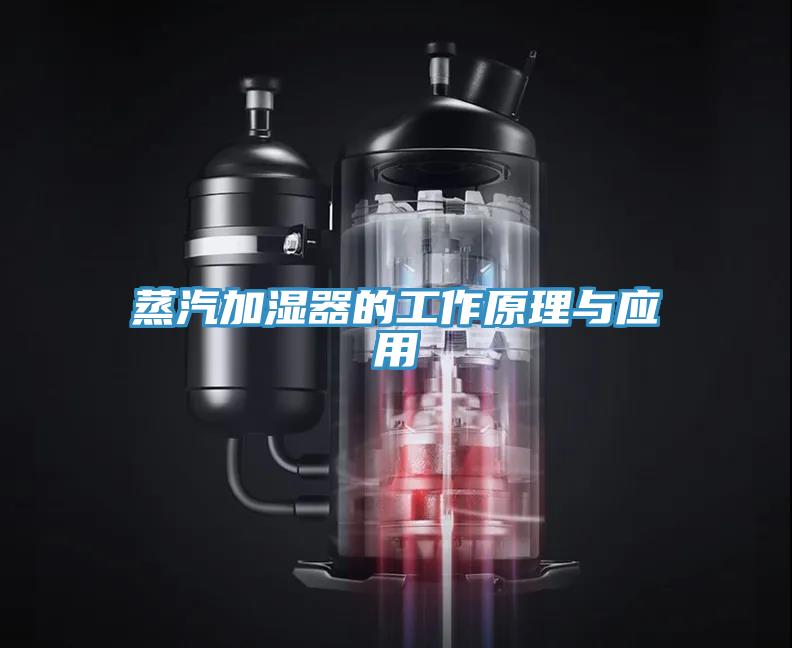蒸汽加濕器的工作原理與應(yīng)用