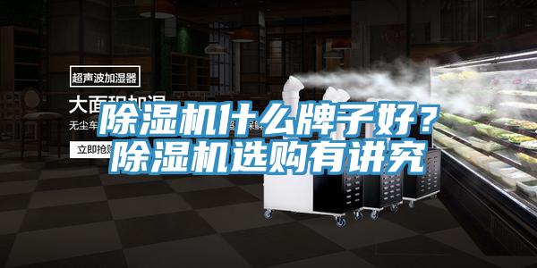 除濕機什么牌子好？除濕機選購有講究