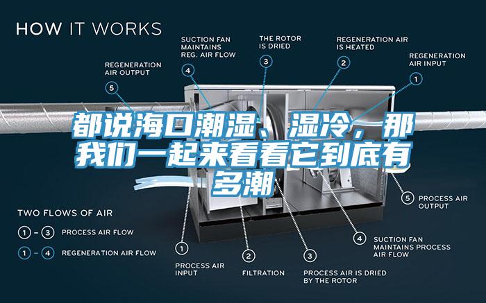 都說海口潮濕、濕冷，那我們一起來看看它到底有多潮