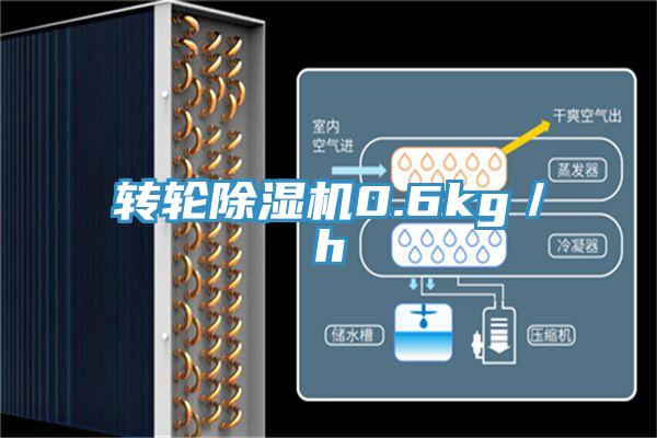 轉輪除濕機0.6kg/h