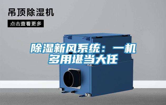 除濕新風系統：一機多用堪當大任
