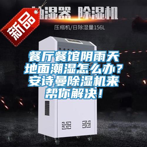 餐廳餐館陰雨天地面潮濕怎么辦?安詩曼除濕機來幫你解決!
