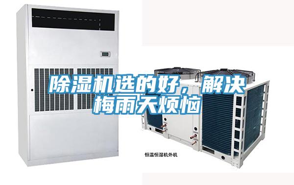 除濕機選的好，解決梅雨天煩惱