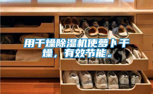 用干燥除濕機(jī)使蘿卜干燥,有效節(jié)能。