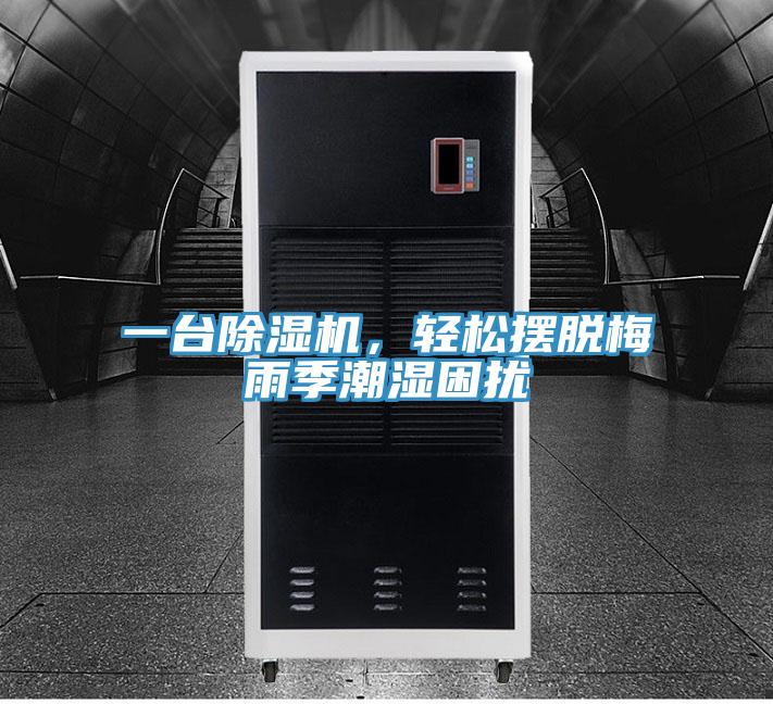 一臺除濕機,輕松擺脫梅雨季潮濕困擾