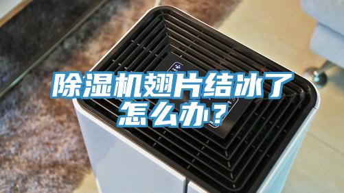 除濕機(jī)翅片結(jié)冰了怎么辦？