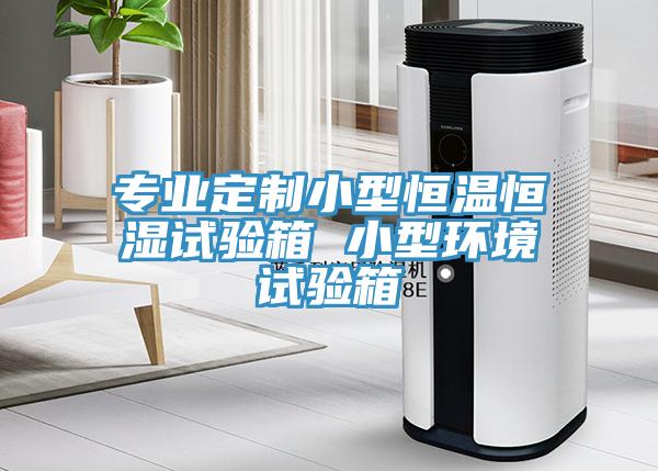 專業定制小型恒溫恒濕試驗箱 小型環境試驗箱