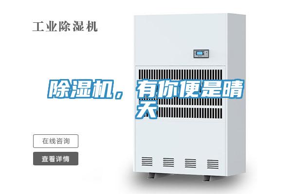 除濕機,有你便是晴天