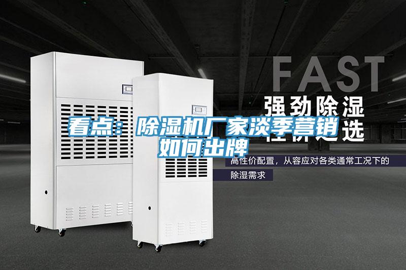 看點:除濕機廠家淡季營銷如何出牌