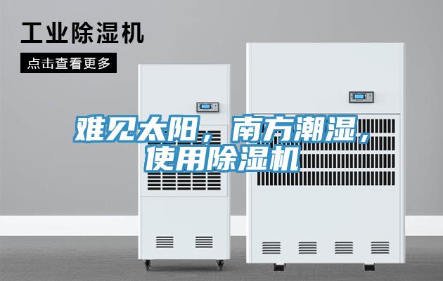難見太陽,南方潮濕,使用除濕機