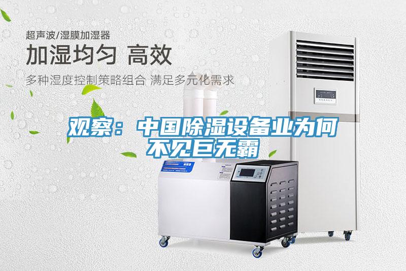 觀察：中國除濕設備業為何不見巨無霸