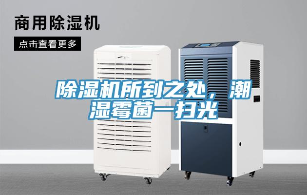 除濕機所到之處，潮濕霉菌一掃光