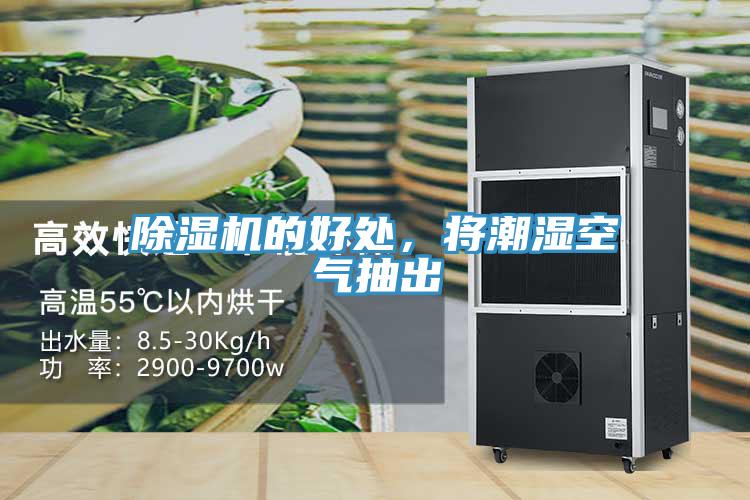 除濕機的好處,將潮濕空氣抽出