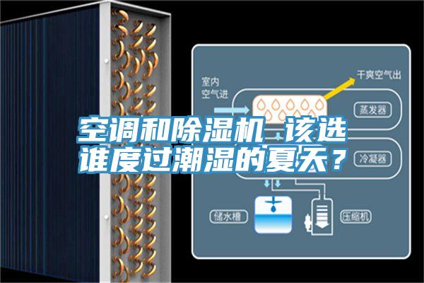 空調和除濕機 該選誰度過潮濕的夏天?