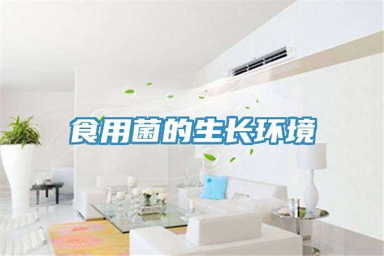 食用菌的生長(zhǎng)環(huán)境
