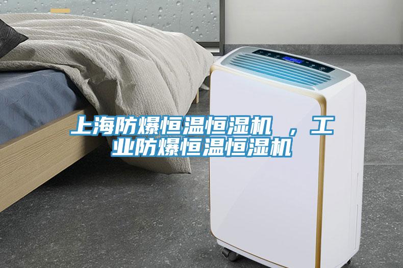 上海防爆恒溫恒濕機 ，工業防爆恒溫恒濕機