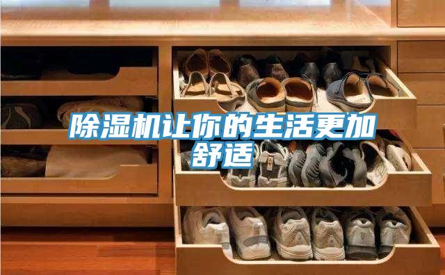 除濕機(jī)讓你的生活更加舒適
